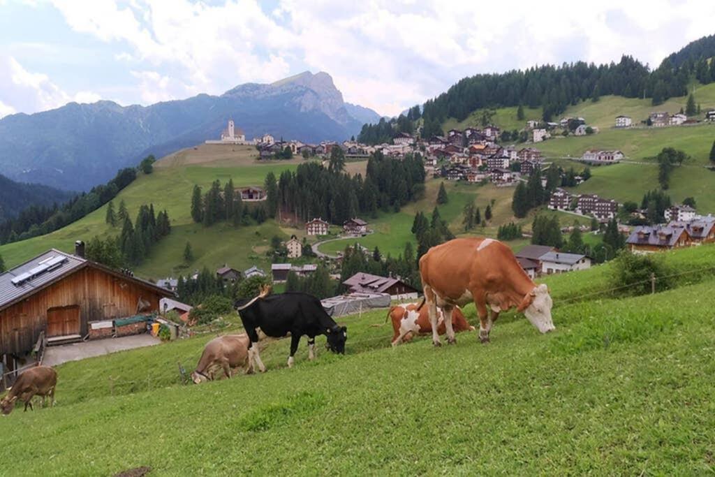 App Col Di Lana - Agriturismo La Majon Da Col コッレ・サンタ・ルチーア エクステリア 写真